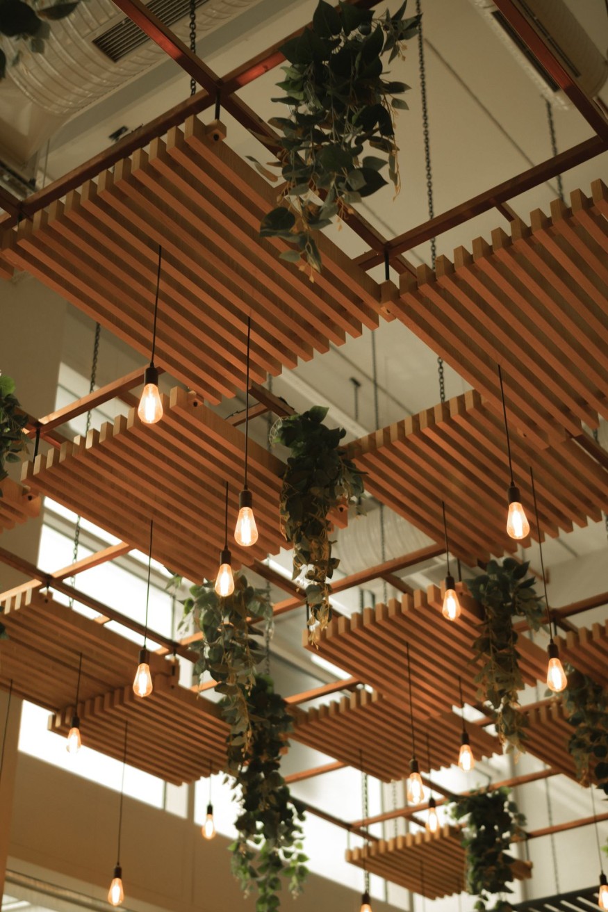Ceiling fixtures