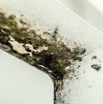 Mold at home