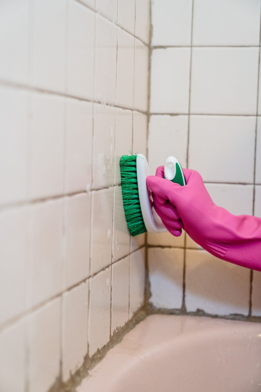 shower mold