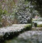 winter garden