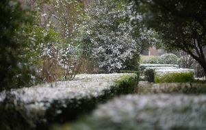 winter garden