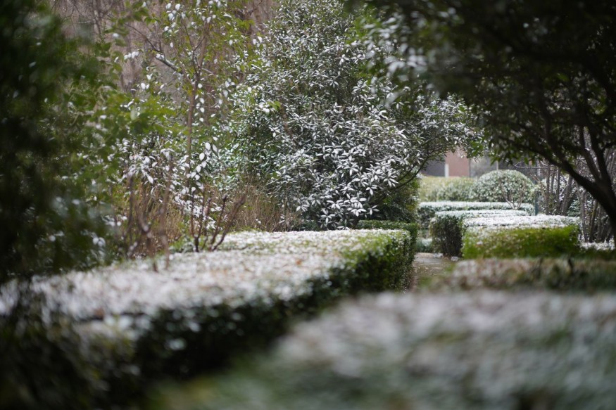 winter garden