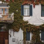 House with Ivy