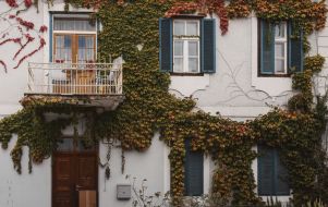 House with Ivy