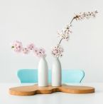 The Psychology of Interior Design on How Home Decor Impacts Mood and Well-Being
