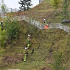 Top Landscape Architecture Firms Pledge to Zero Emissions by 2040—How Will They Do It?