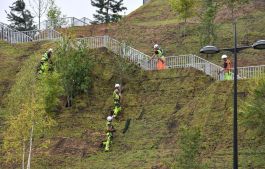 Top Landscape Architecture Firms Pledge to Zero Emissions by 2040—How Will They Do It?